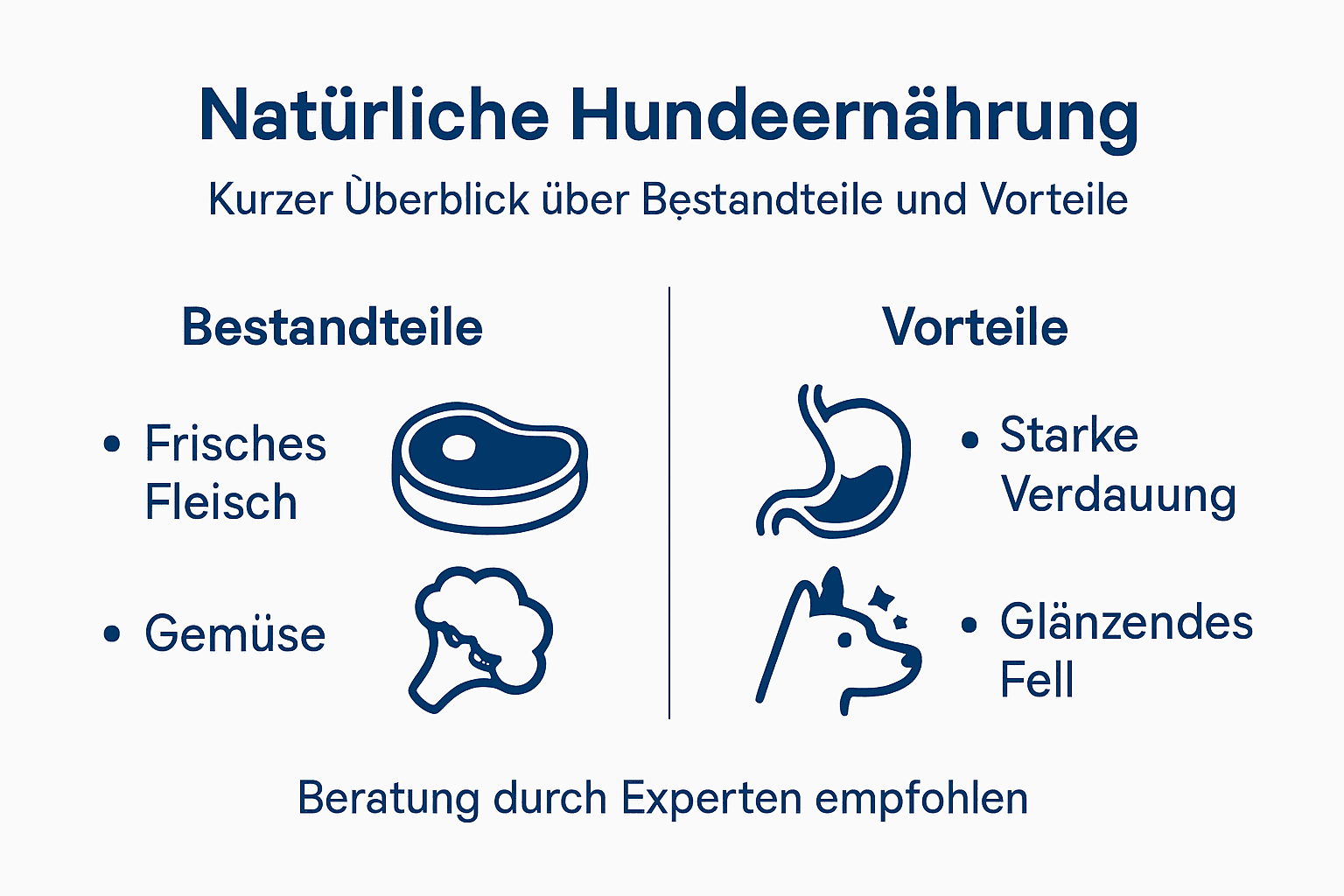 Infografik: Wichtige Bausteine und Vorteile einer ausgewogenen Hundeernährung
