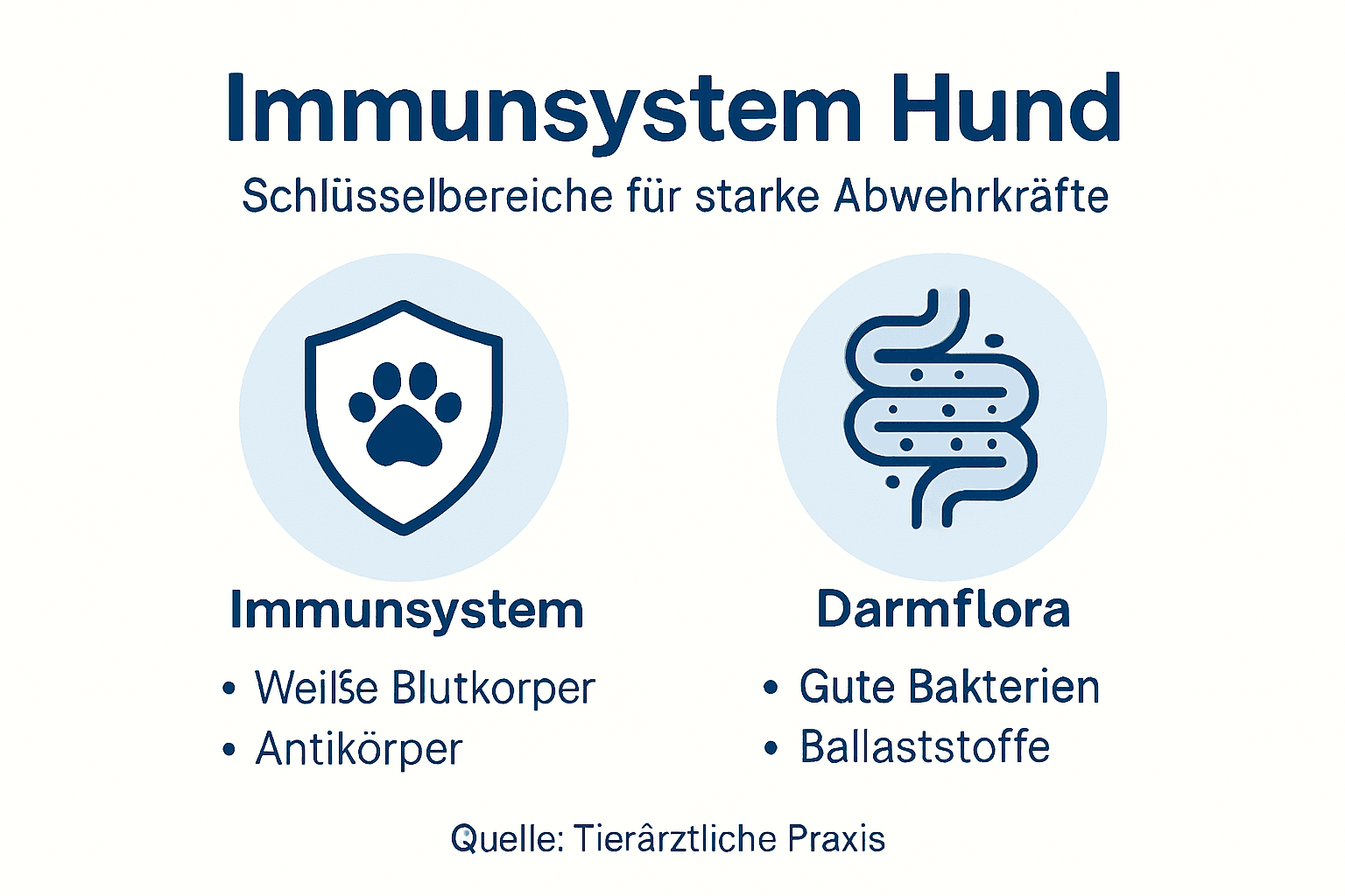 Infografik: So arbeiten Immunsystem und Darmflora beim Hund zusammen