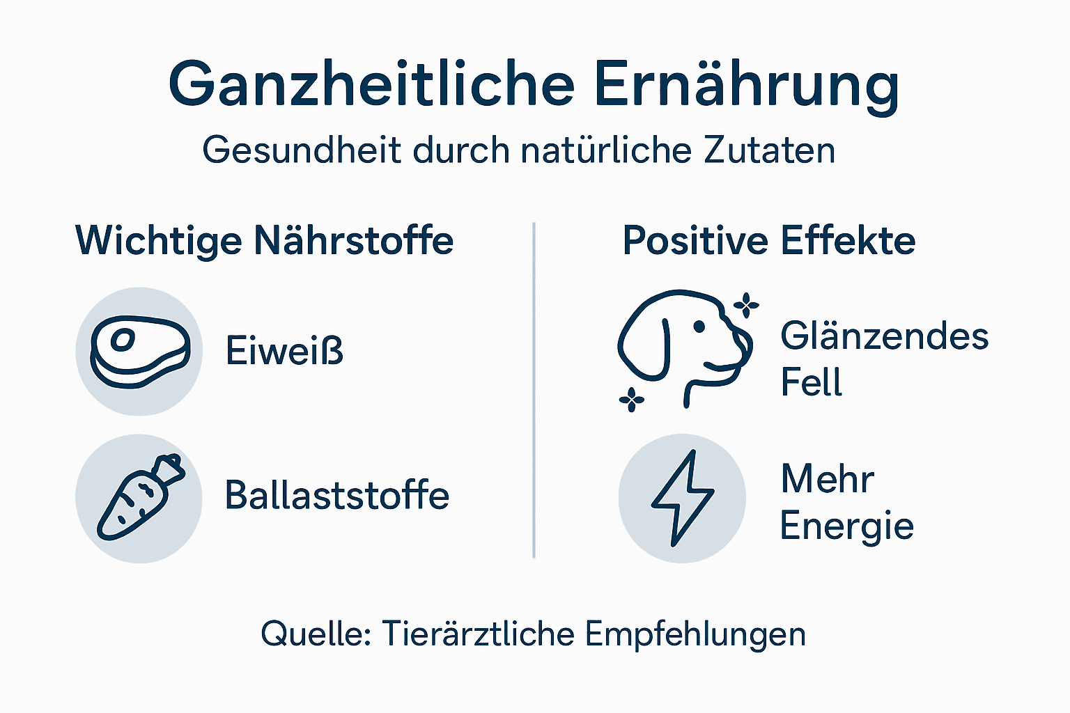 Übersicht: Ganzheitliche Hundeernährung – wichtige Nährstoffe und ihre Wirkung auf die Gesundheit Ihres Vierbeiners