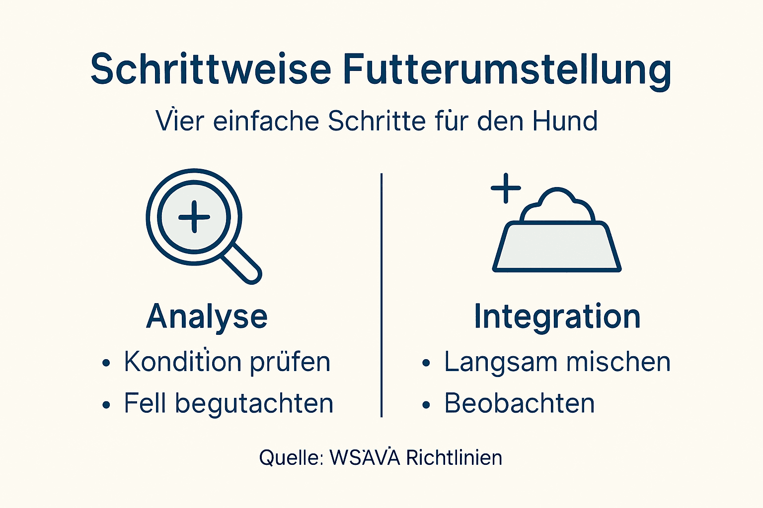 Infografik: So gelingt die Futterumstellung bei Hunden – Schritt für Schritt