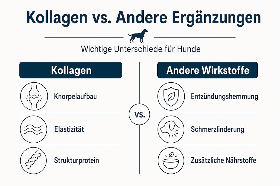 In dieser Infografik werden Kollagenpräparate mit anderen Nahrungsergänzungsmitteln für die Gelenkgesundheit gegenübergestellt.