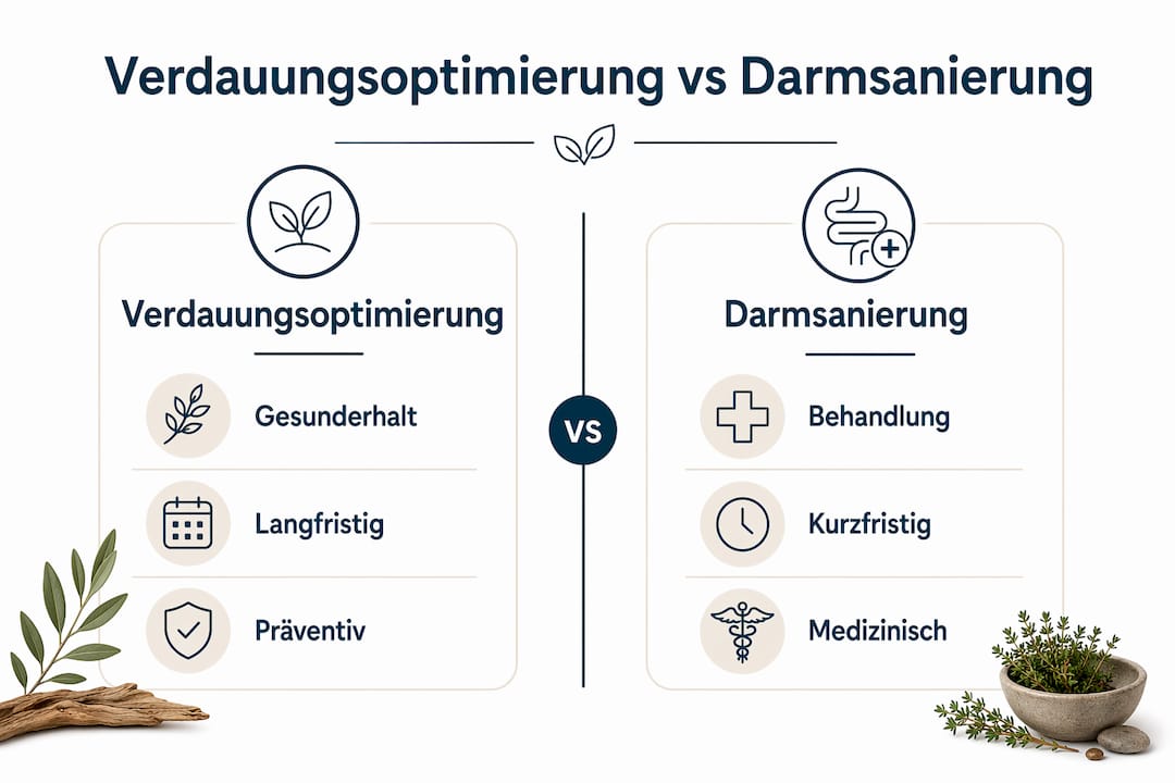 Infografik: Gegenüberstellung von Maßnahmen zur Verbesserung der Verdauung und einer umfassenden Darmsanierung