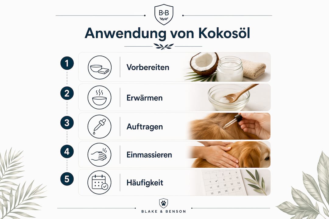 Übersicht: Wie Kokosöl Hunden richtig verabreicht wird – Anwendungstipps und Dosierungsempfehlungen auf einen Blick
