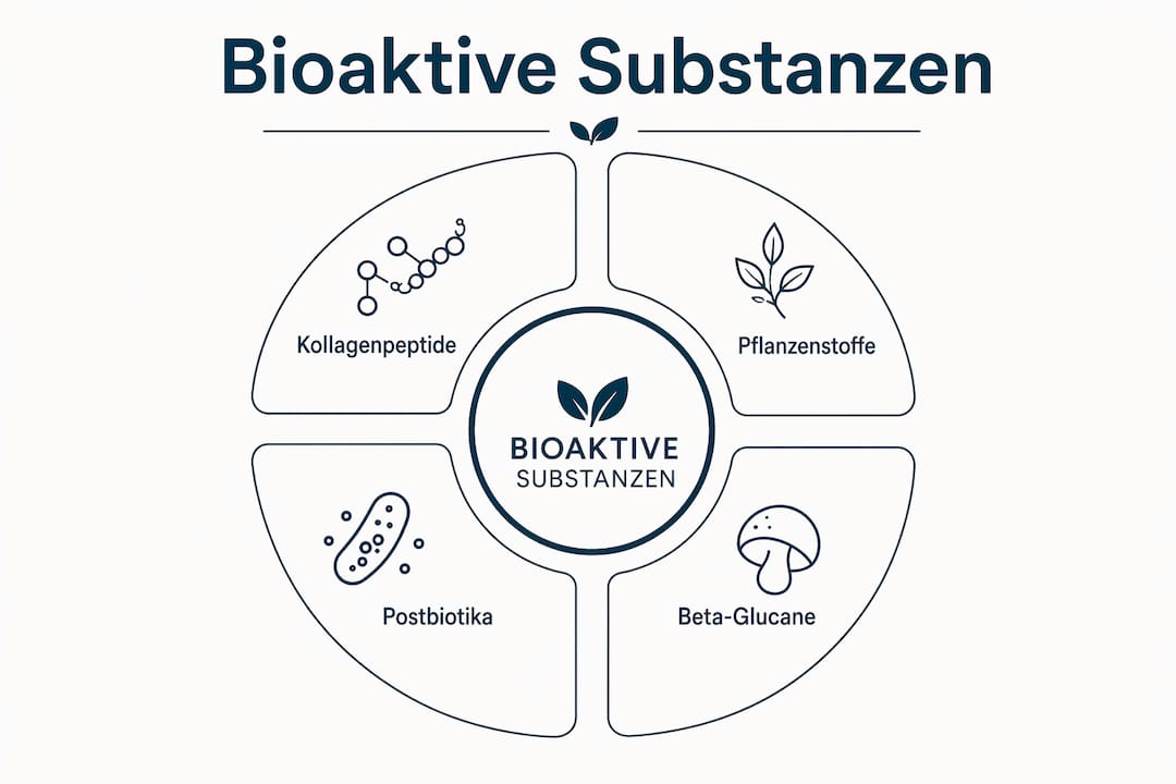 Übersicht der wichtigsten Gruppen bioaktiver Stoffe als Infografik