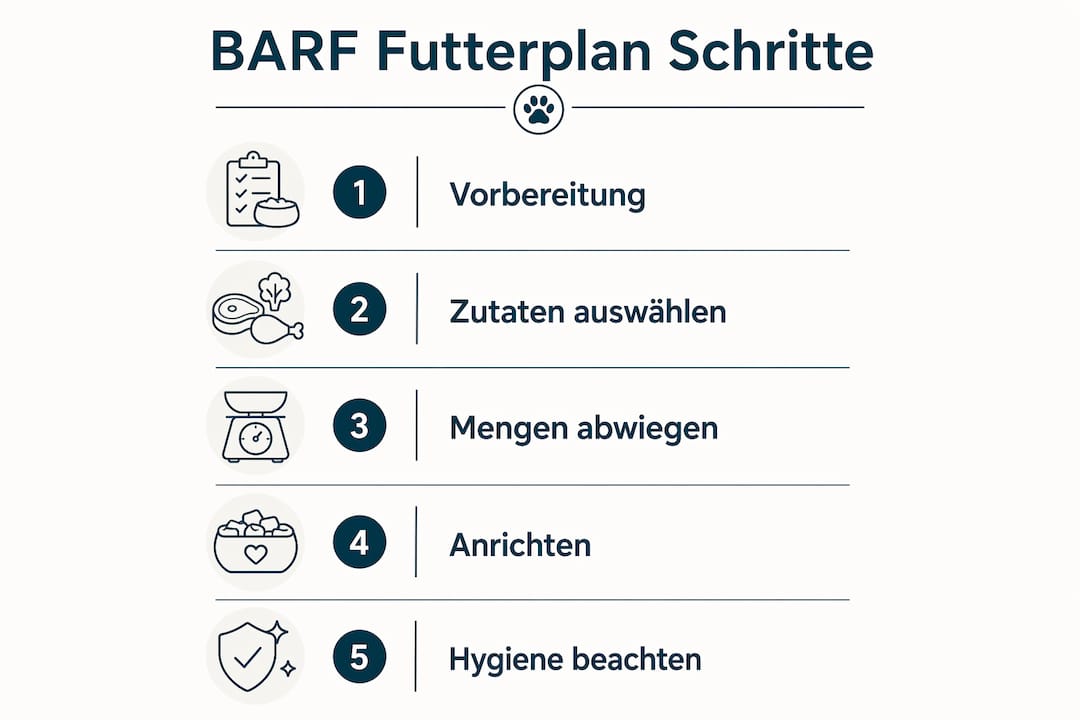 Schritt-für-Schritt-Anleitung: So stellst du einen BARF-Futterplan zusammen – anschaulich erklärt in einer Infografik