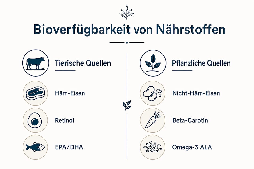 Infografik: Gegenüberstellung von tierischen und pflanzlichen Nährstofflieferanten