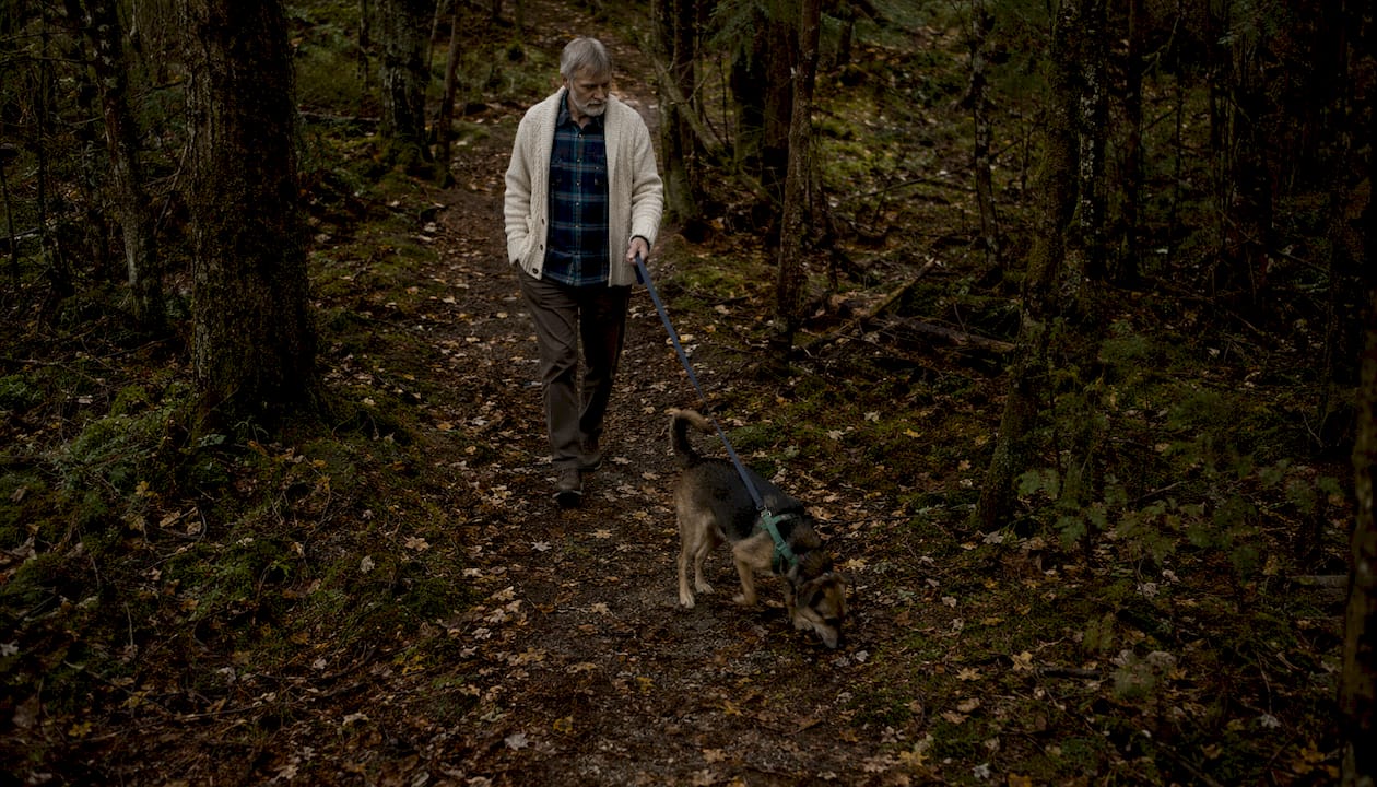 Ein älterer Herr geht mit seinem Hund gemütlich im Wald spazieren.