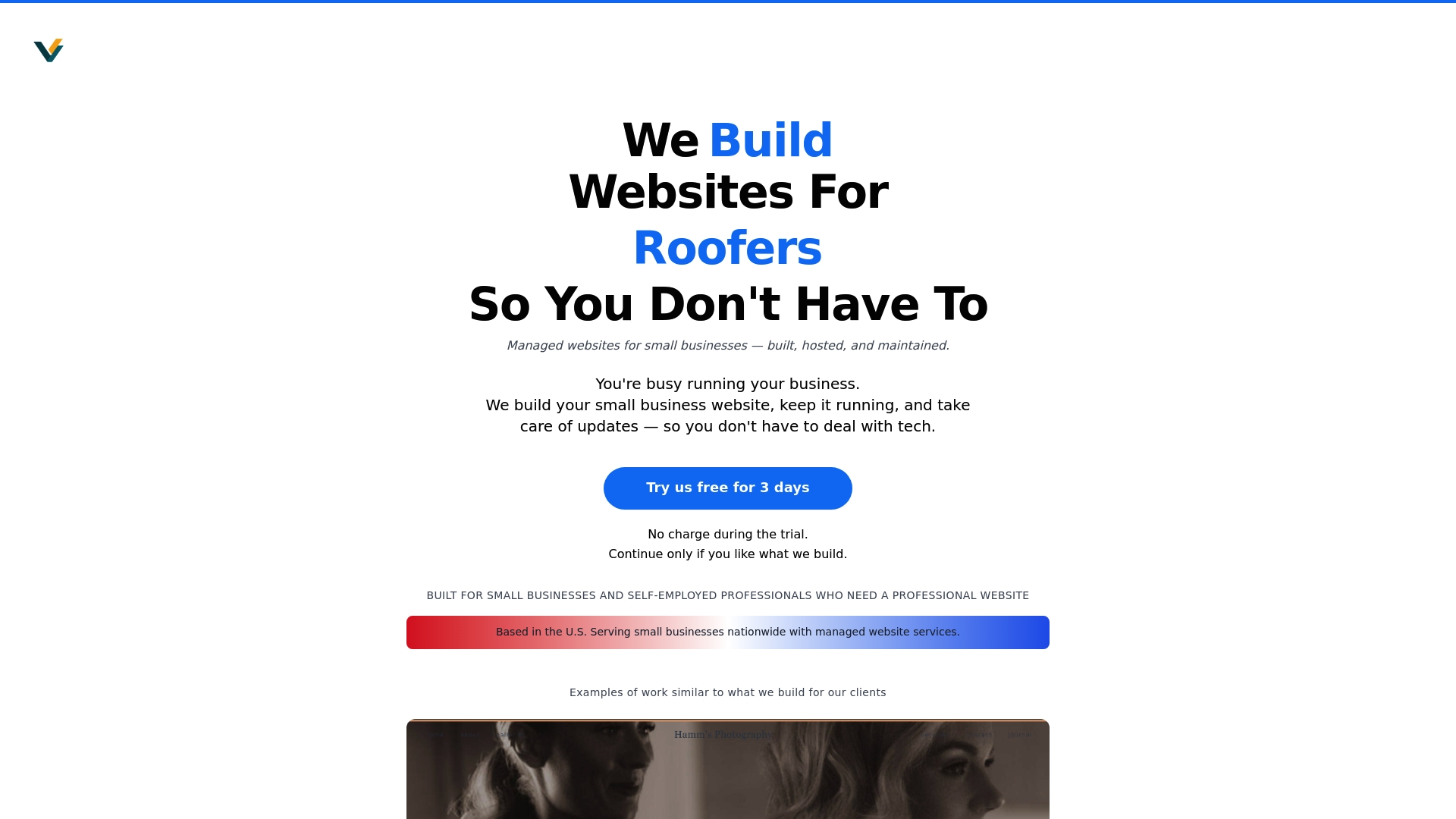 Vegas Solutions website management