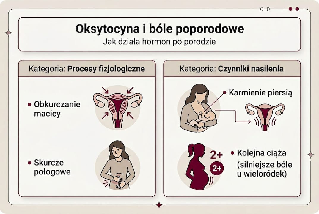 Infografika: rola oksytocyny w łagodzeniu bólu po porodzie