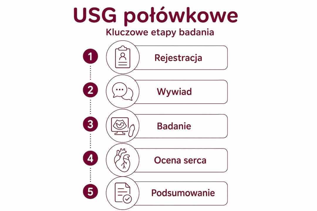 Infografika pokazująca, jak przebiega badanie USG połówkowe krok po kroku
