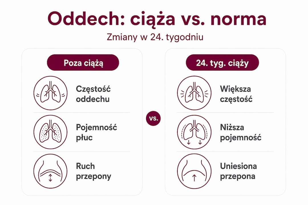 Infografika pokazująca, jak zmieniają się parametry oddechowe u kobiet w ciąży