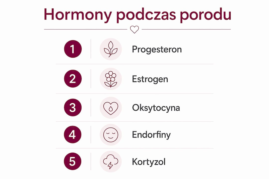 Infografika obrazująca, jaką funkcję pełnią hormony w trakcie porodu