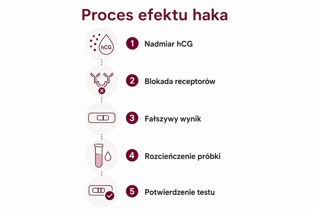 Grafika pokazująca, jak przebiega zjawisko efektu haka podczas wykonywania testów ciążowych.