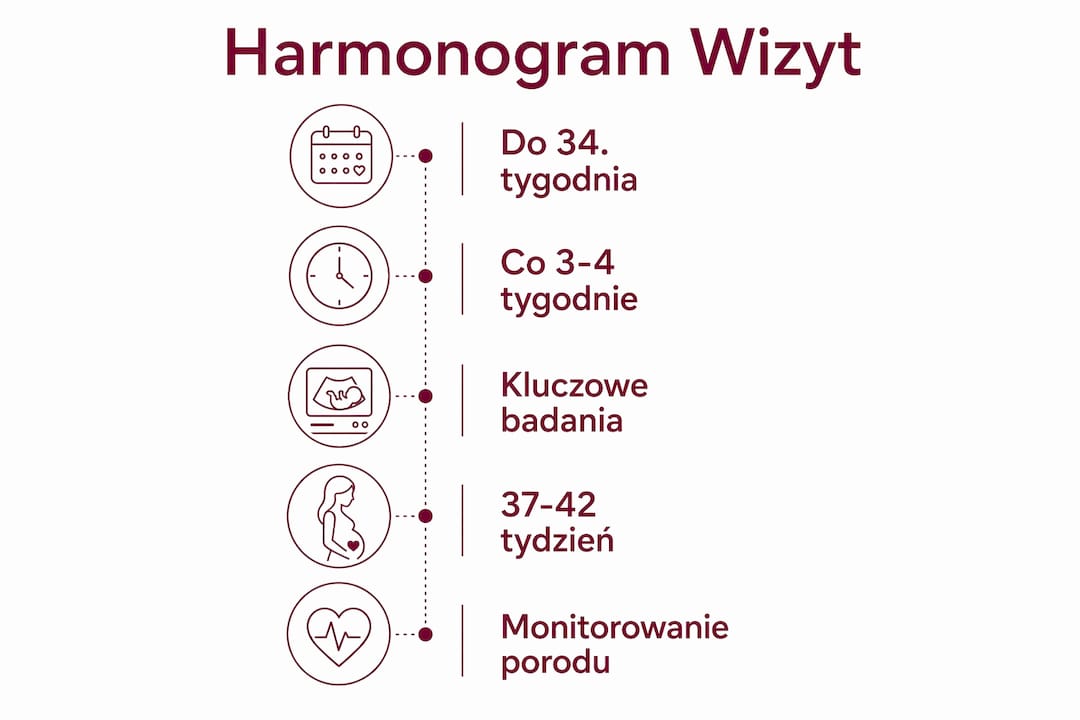 Przejrzysta infografika przedstawiająca terminy wizyt kontrolnych w ciąży