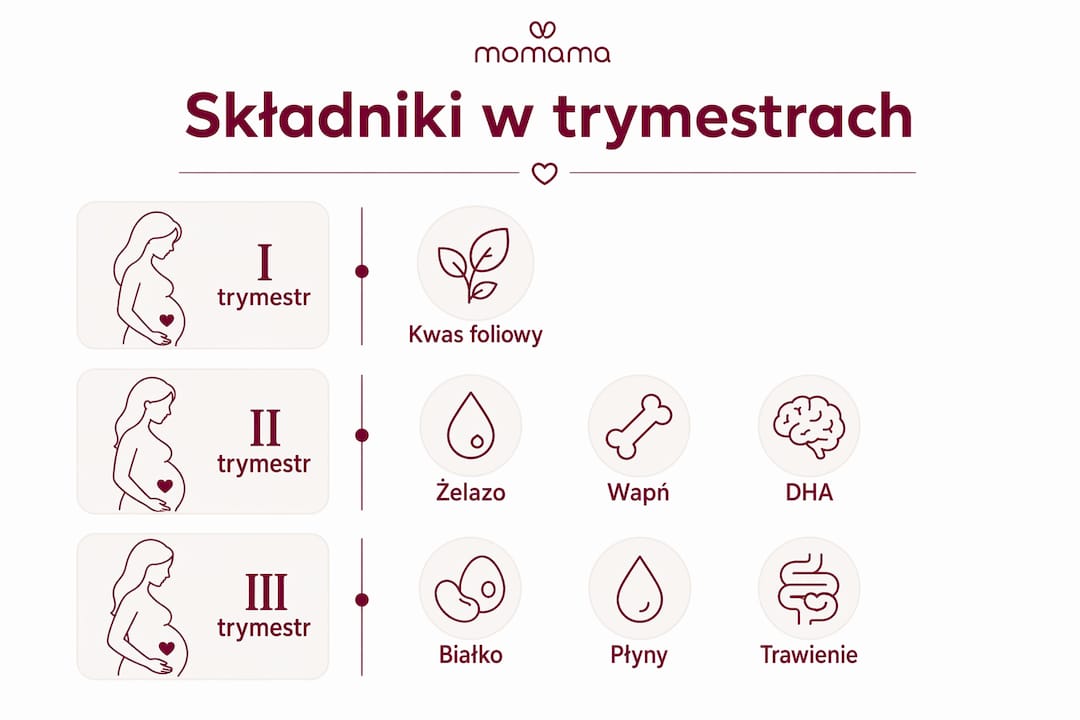 Infografika przedstawiająca najważniejsze składniki odżywcze w poszczególnych trymestrach ciąży
