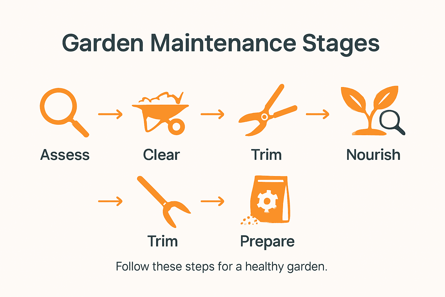 Infographic of main garden maintenance steps