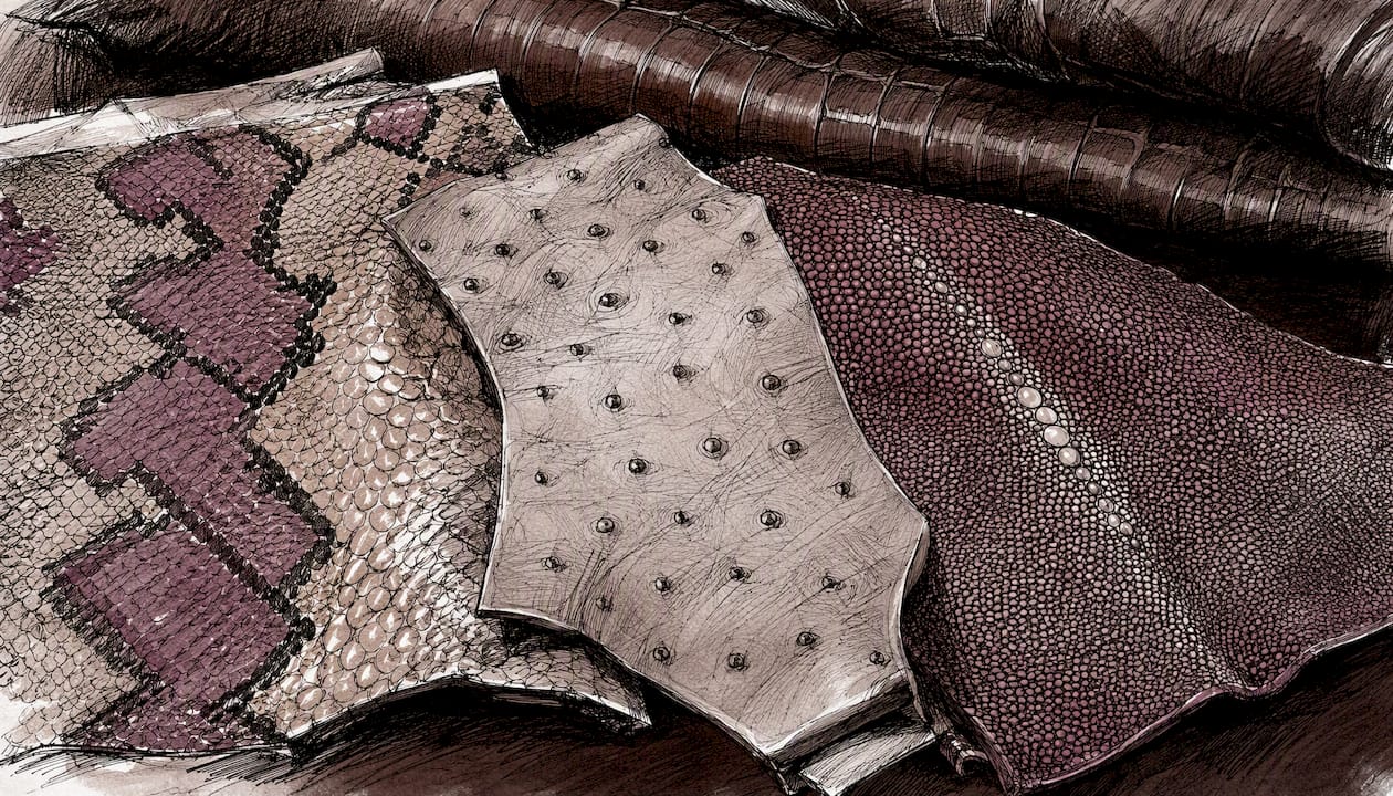 Exotic leathers for custom boots