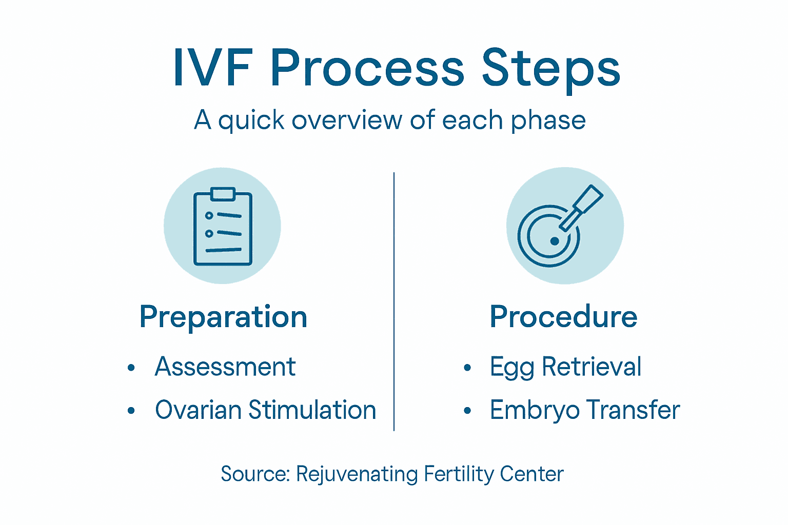 Infographic summarizing IVF process steps