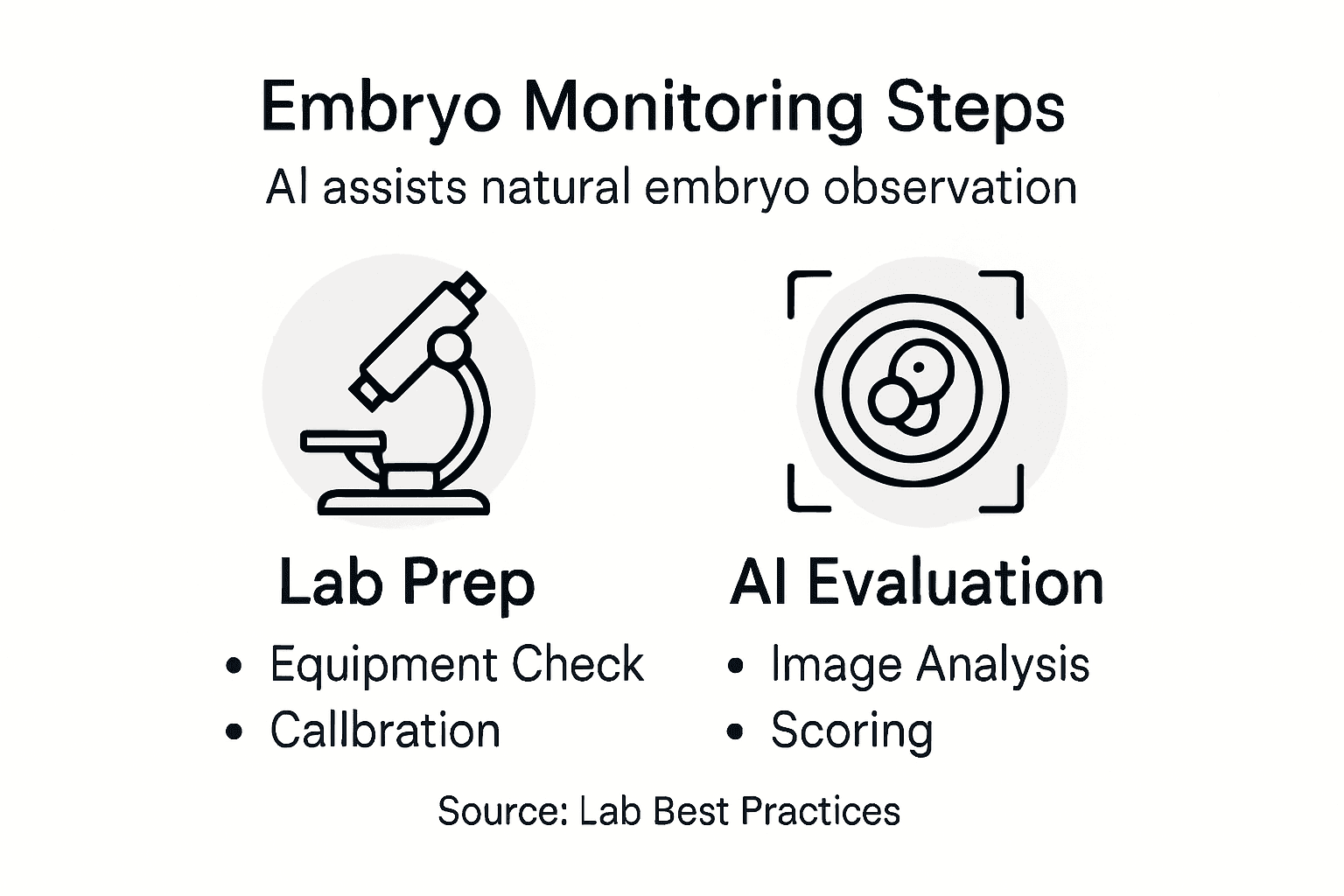 Infographic of embryo monitoring steps