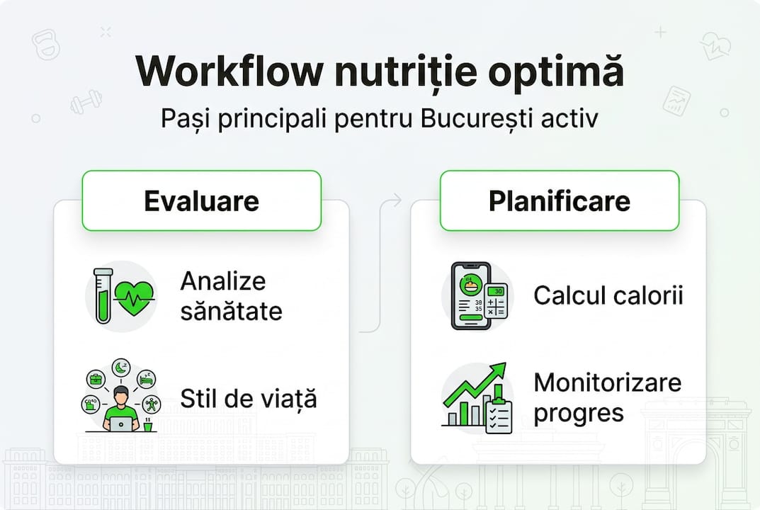 Infografic: etapele esențiale din procesul de nutriție