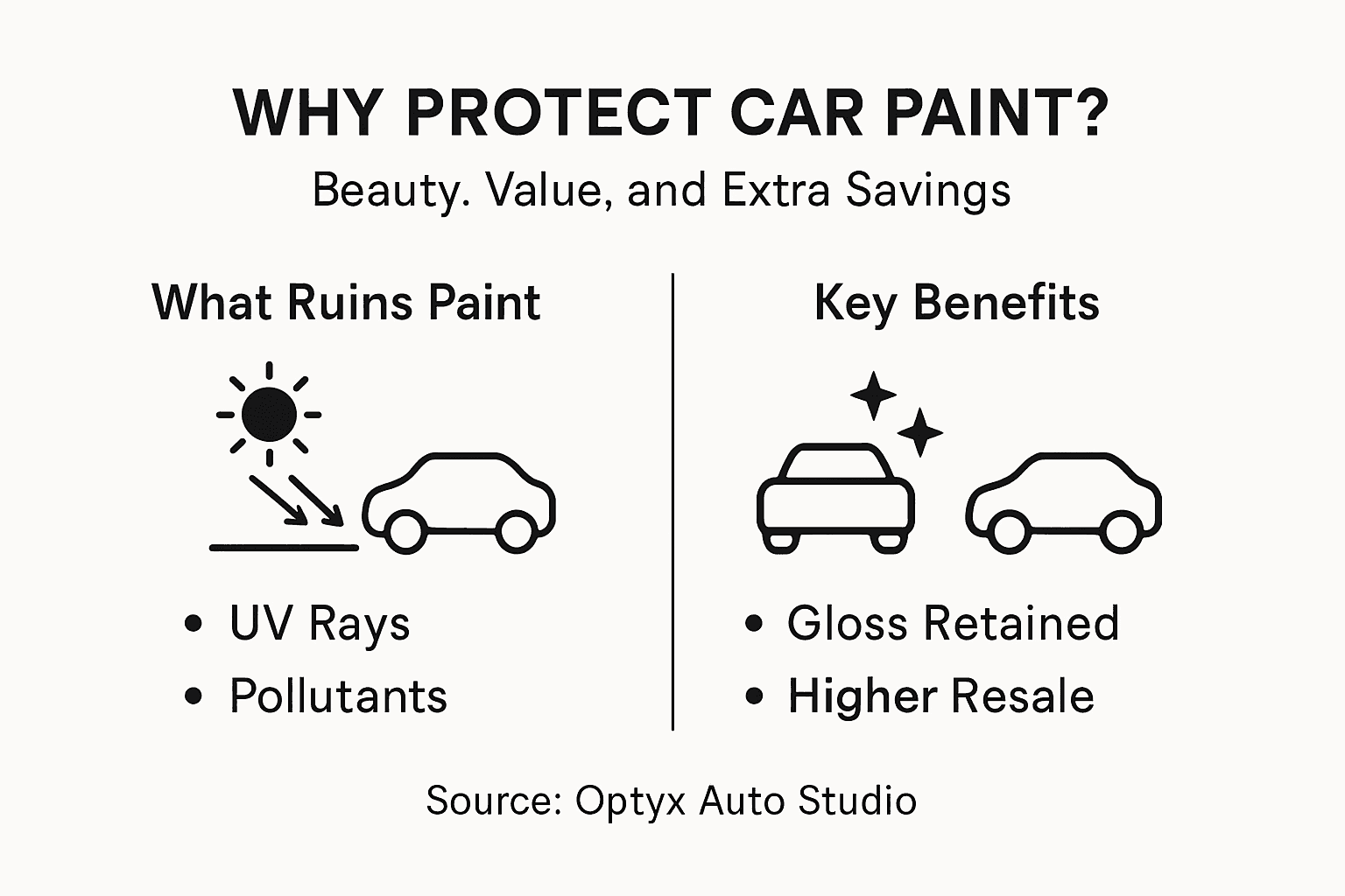 Infographic showing main reasons for car paint protection