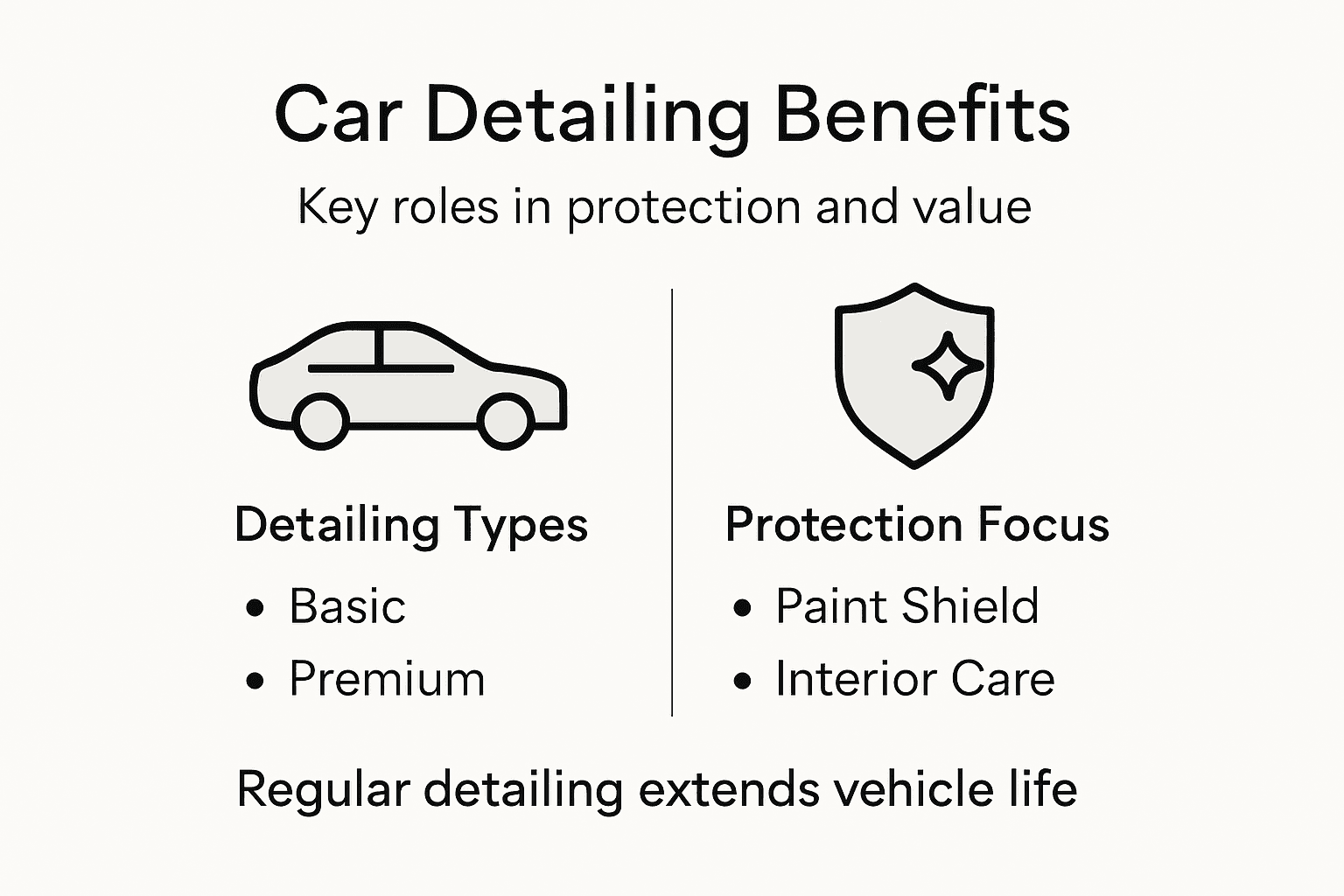 Infographic about car detailing benefits and protection