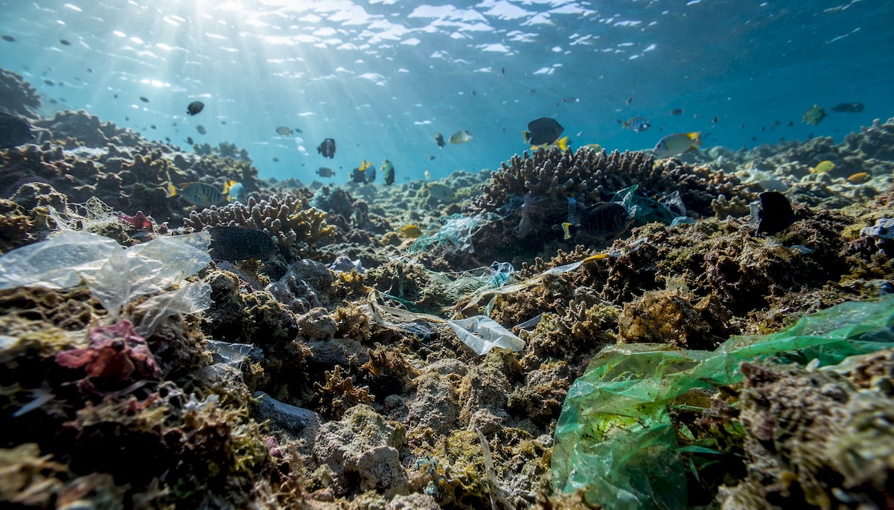 Coral reef with plastic debris underwater