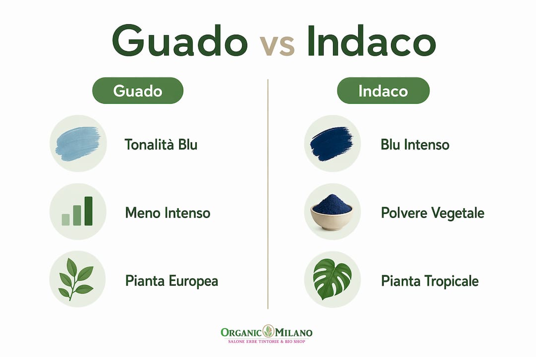 Confronto visivo tra tinture per capelli a base di guado e indaco: tutte le differenze in un’infografica
