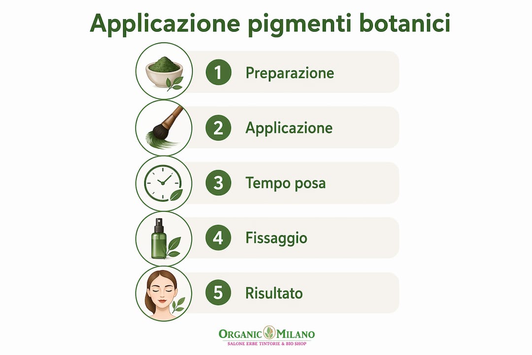 Infografica: come si applicano i pigmenti botanici sui capelli