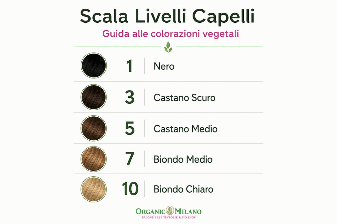 Infografica chiara e minimal sulla scala dei colori dei capelli ottenuti con tinture vegetali