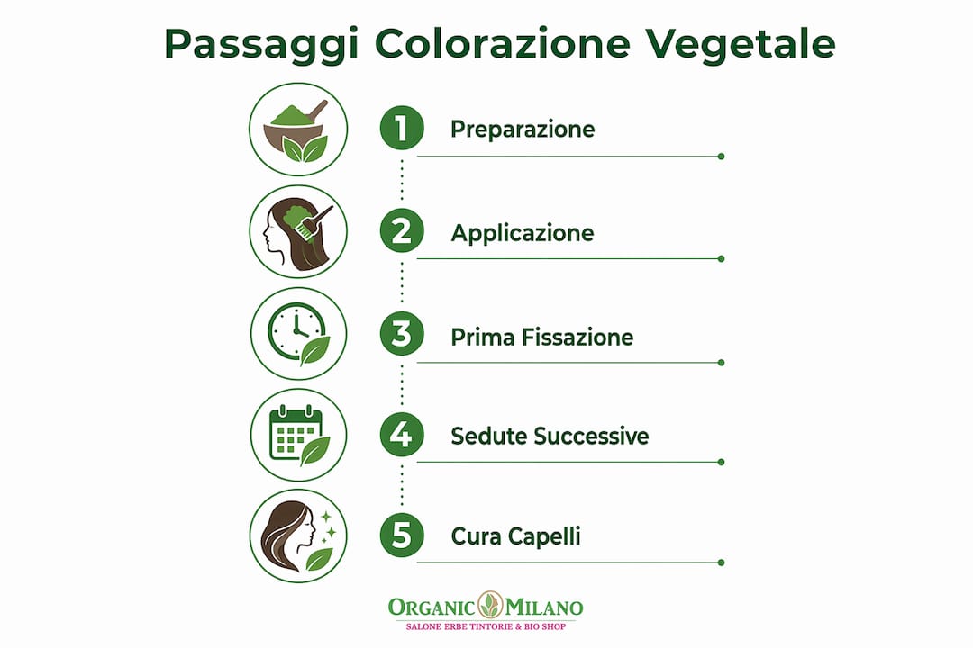 Infografica che illustra le fasi della tintura naturale