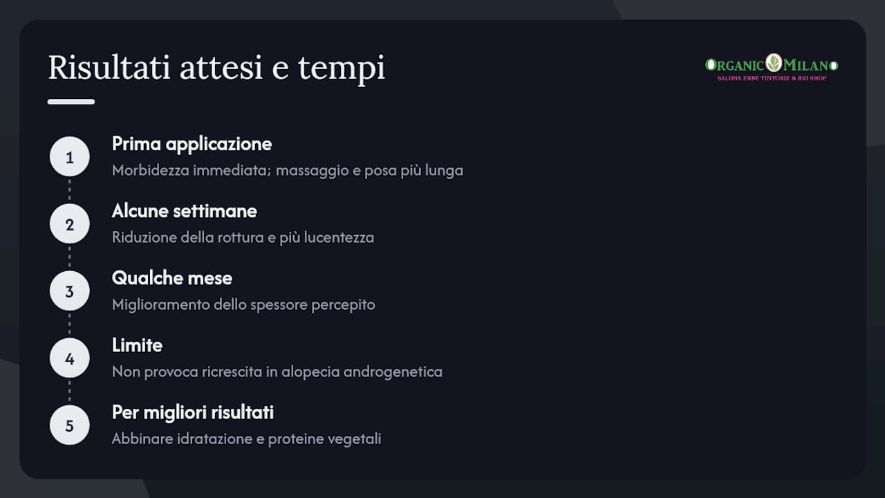 Quali risultati aspettarsi e in quanto tempo — overview diagram