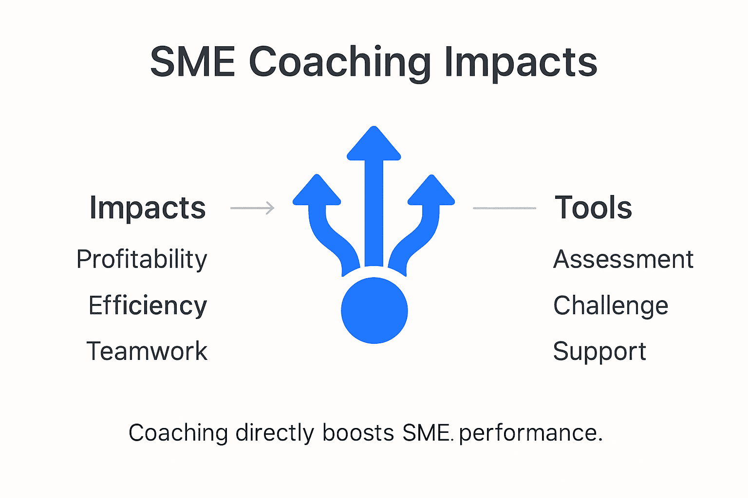 Infographic showing coaching impact areas for SMEs
