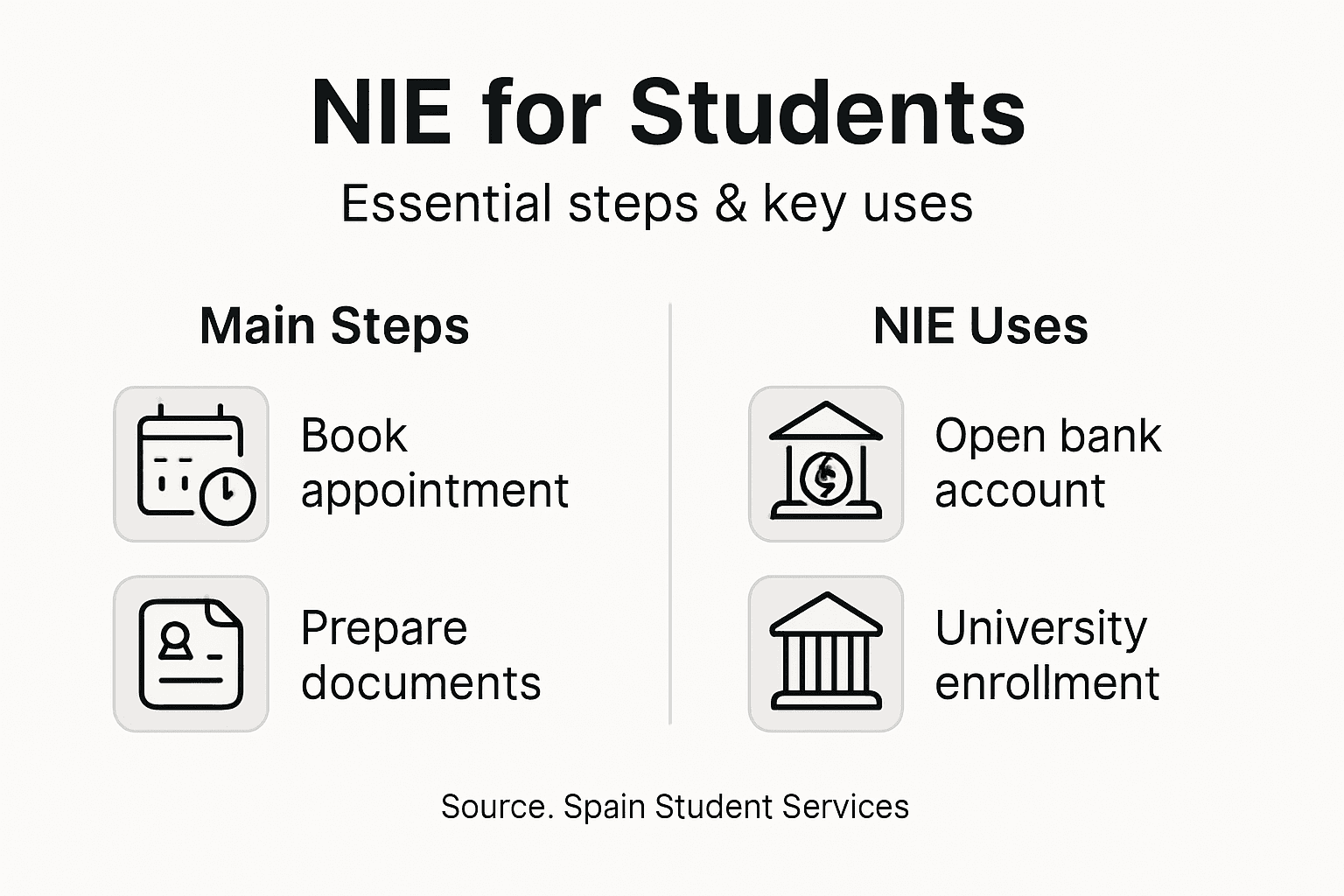 Infographic of NIE steps and major uses