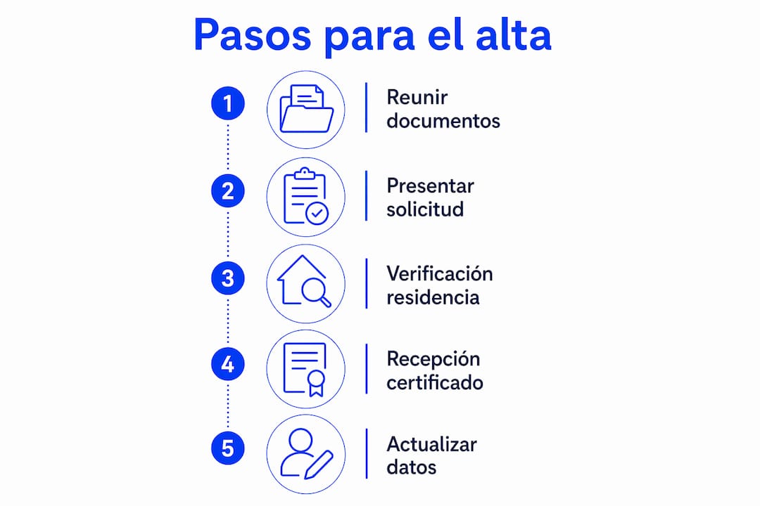 Infografía con el paso a paso para darte de alta en el padrón municipal