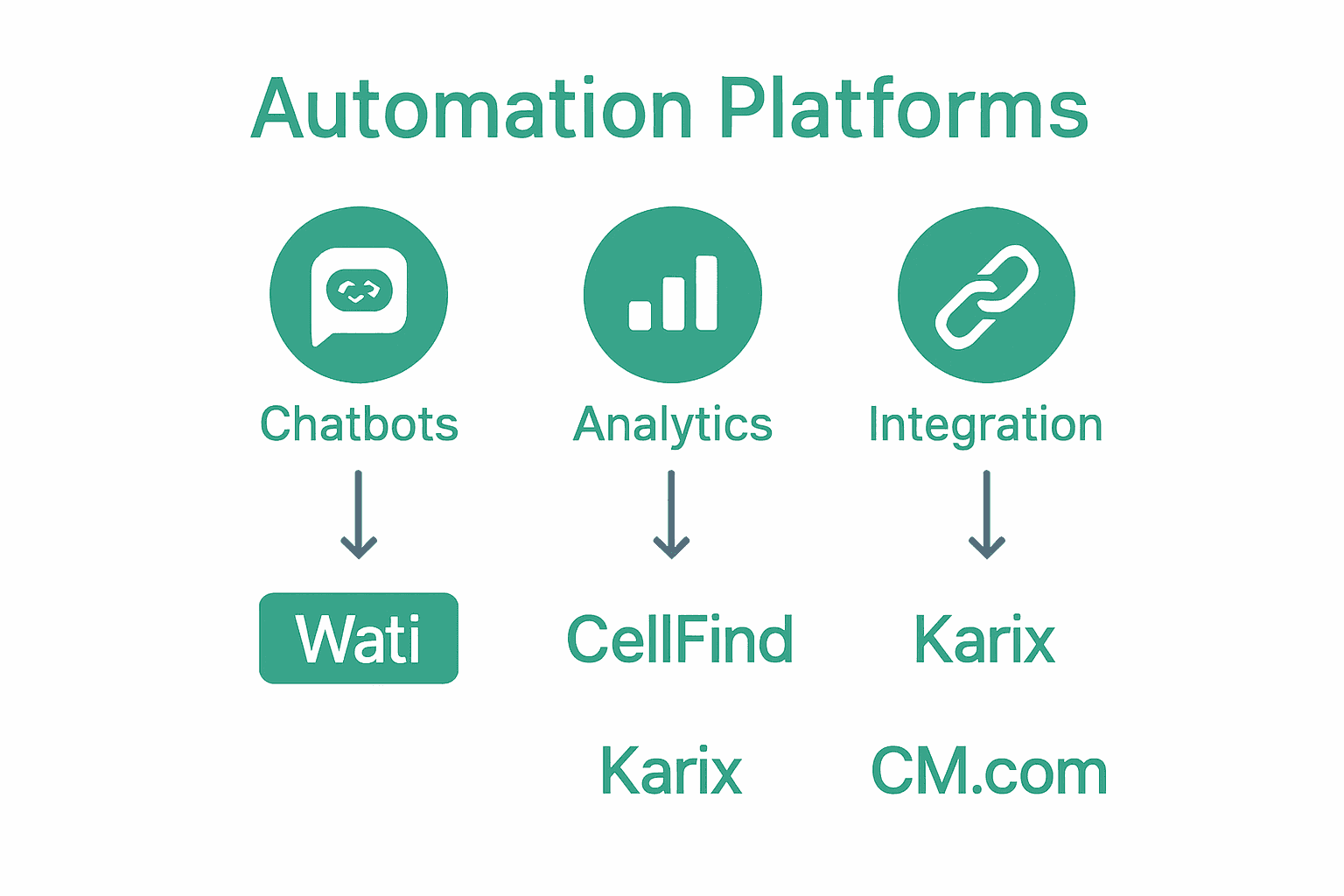 Infographic comparing WhatsApp automation platforms and their key features