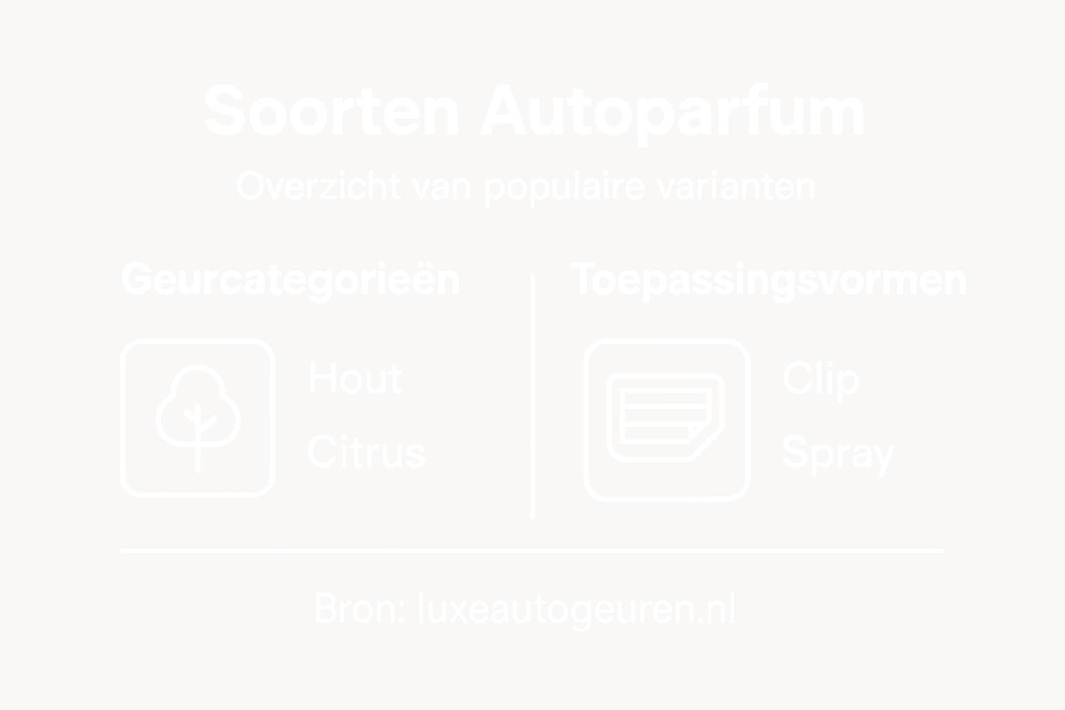 Overzicht: verschillende soorten en geuren autoparfum in beeld
