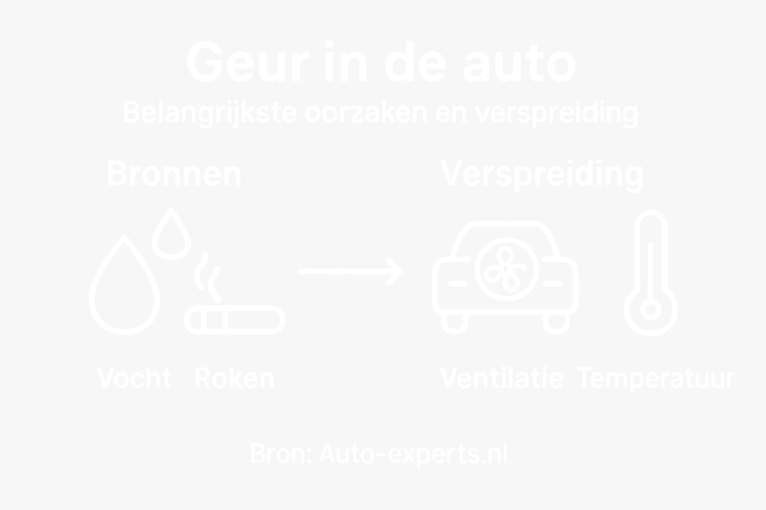 Infographic: de meest voorkomende oorzaken en verspreiding van geur in de auto