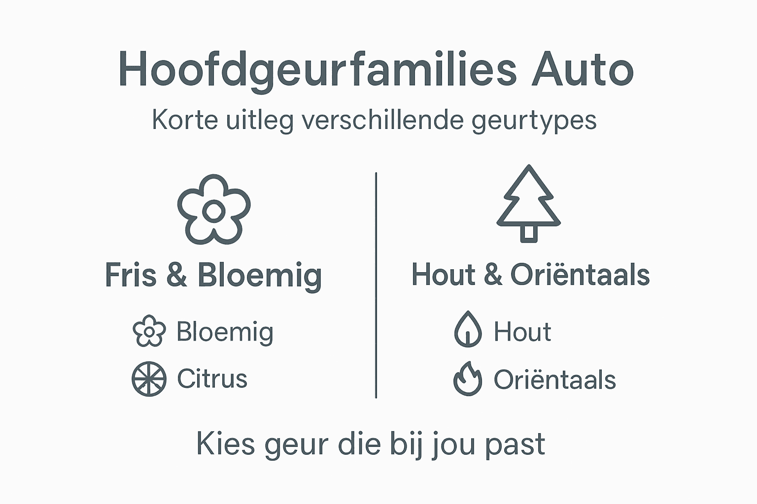 Overzichtelijke infographic met de verschillende soorten autoparfum