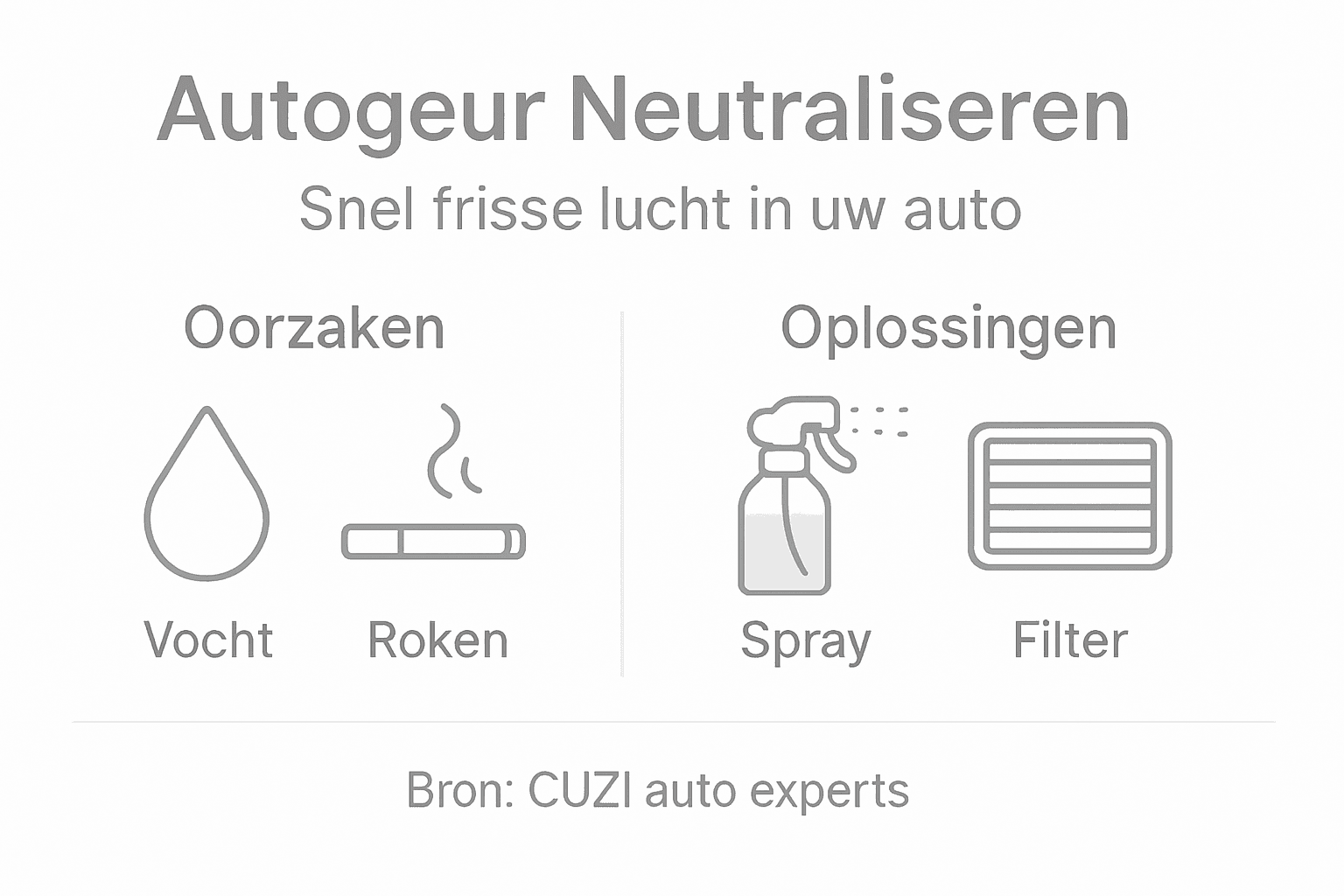 Infographic: zo pak je nare geurtjes in je auto aan