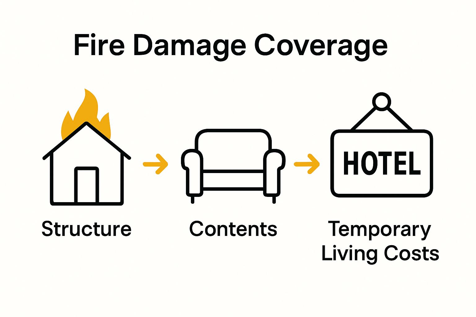Infographic: structure, contents, temporary living categories