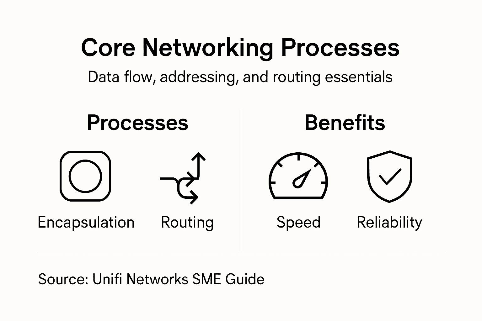 Professional Networking for Businesses: Impacts and Best Practices 2 Infographic overview of networking processes and benefits