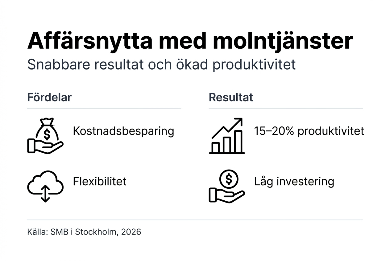 Infografik: Så kan molntjänster lyfta ditt företag