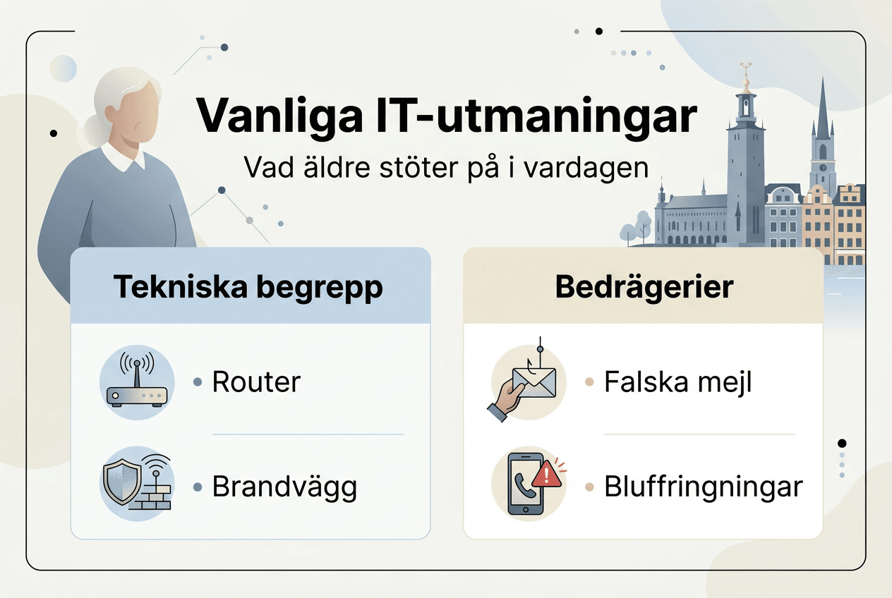 Grafik: Vanliga IT-problem som seniorer stöter på