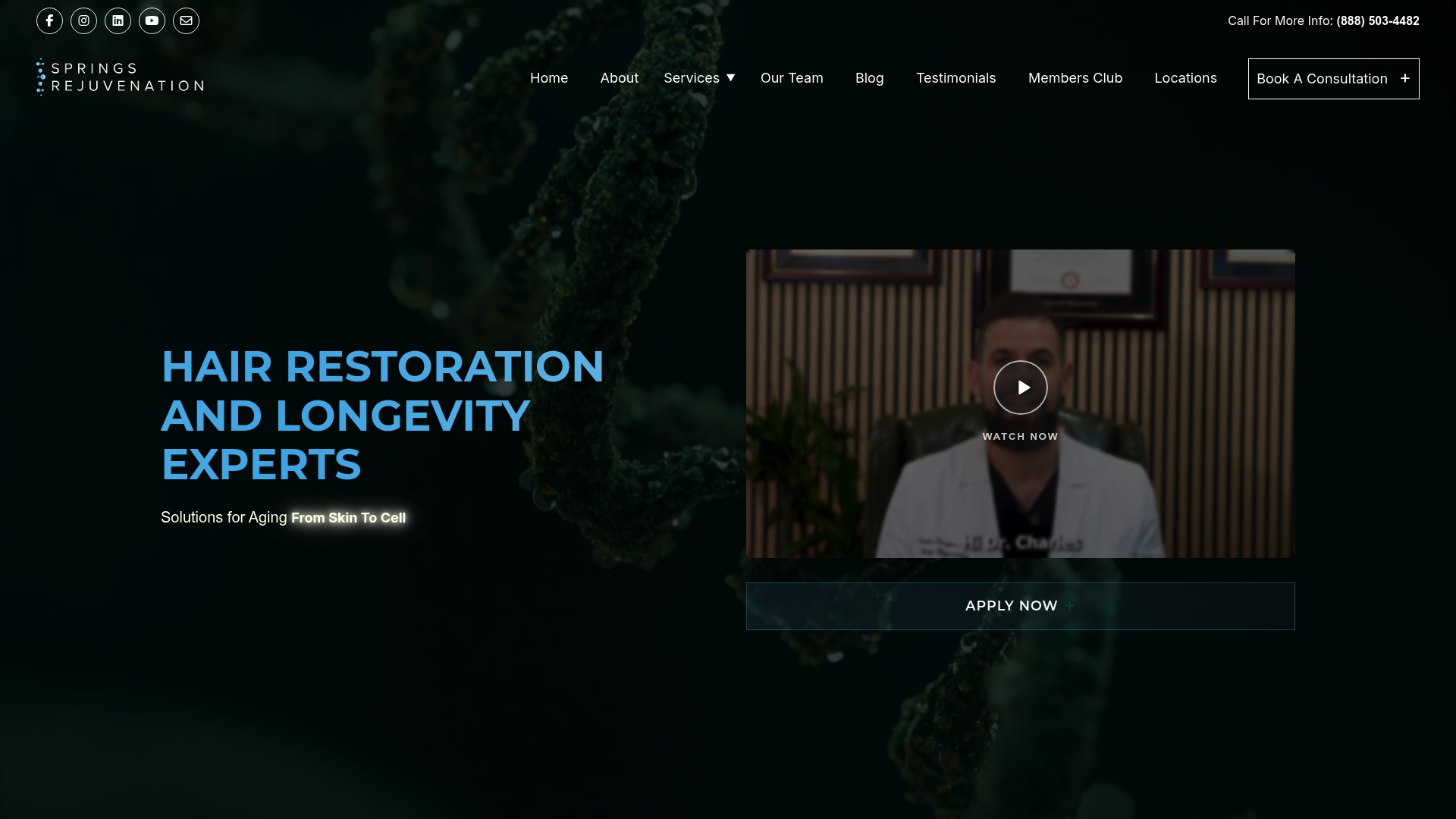 https://springsrejuvenation.com