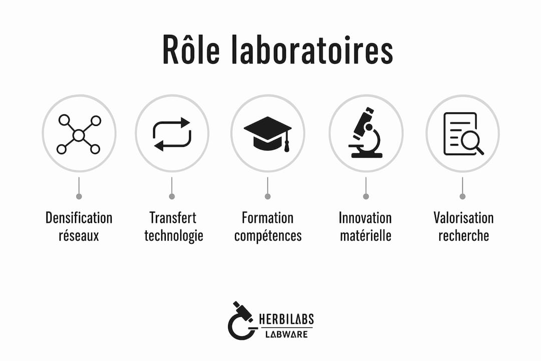 Infographie illustrant l’organisation des différents postes en laboratoire, du technicien à la direction, et leur rôle dans le processus d’innovation.