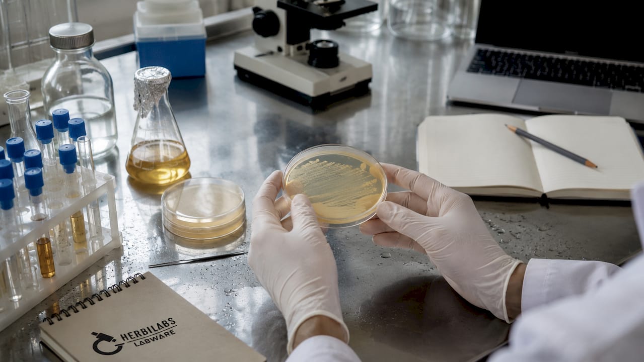 Des mains gantées procèdent à l’analyse d’un échantillon d’additifs alimentaires au laboratoire.