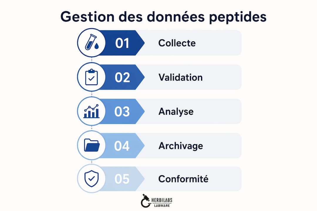 Les grandes étapes du traitement des données peptidiques en un coup d'œil
