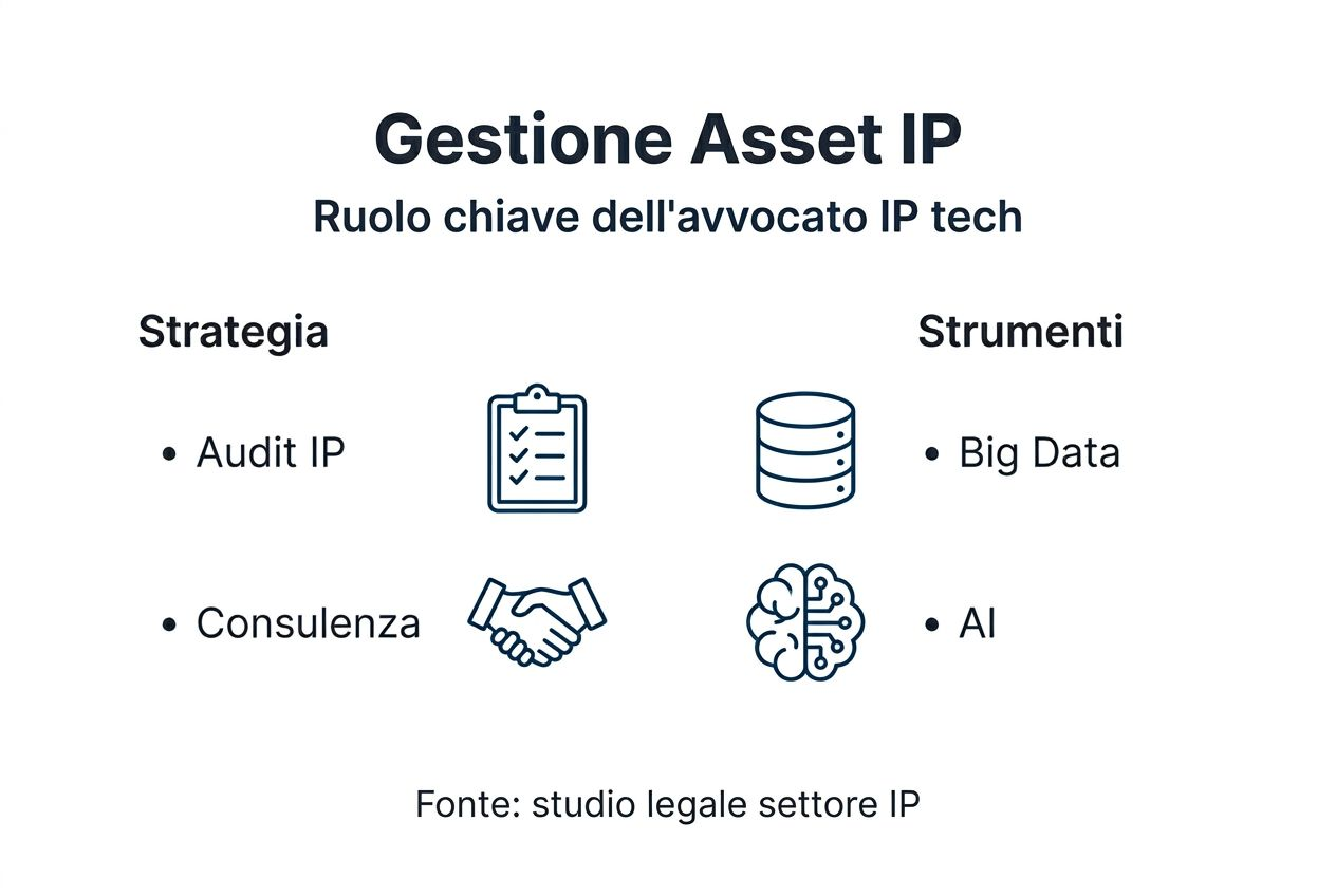 Infografica dedicata ai principi fondamentali della gestione dei diritti di proprietà intellettuale