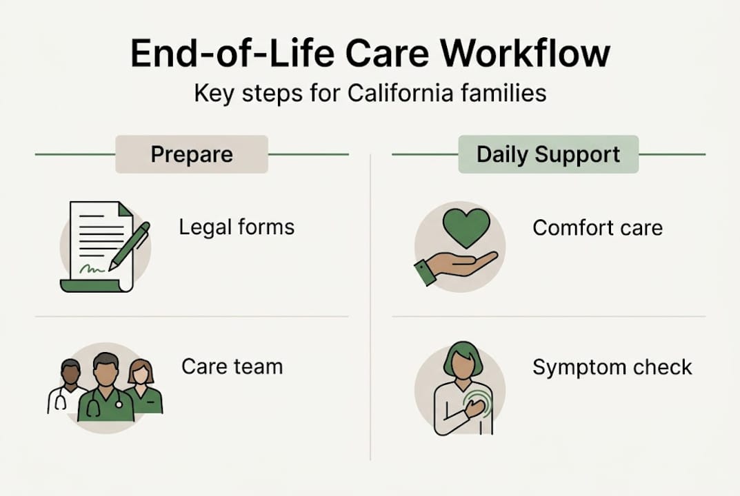 Infographic showing end-of-life care workflow steps